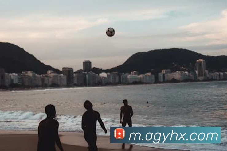 ag官网APP 封面图